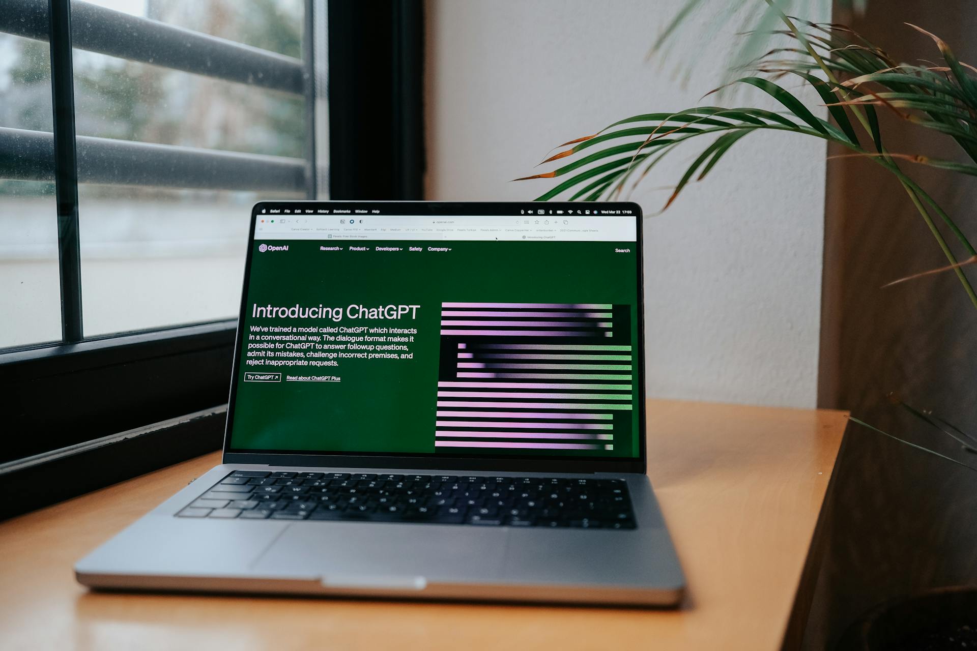 Optimización de Procesos Empresariales